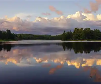 Kearney Lake hiking trail - natural landscape