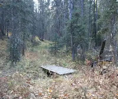 Brown - Lowery Provincial Park hiking trail - natural landscape