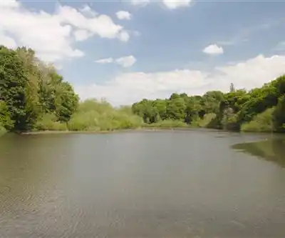 Newton Lake Park hiking trail - natural landscape