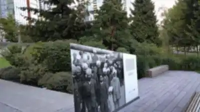 Explore Coal Harbour trail