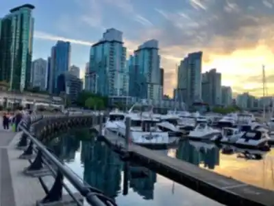 Coal Harbour hiking trail - natural landscape