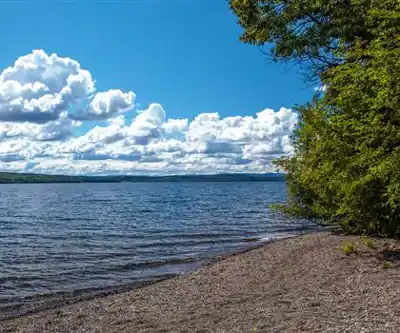 François Lake hiking trail - natural landscape