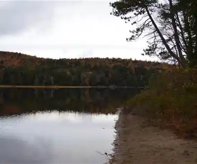 Sentier de randonnée Forked Lake Campground - paysage naturel