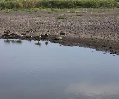 Mud Bay Park hiking trail - natural landscape