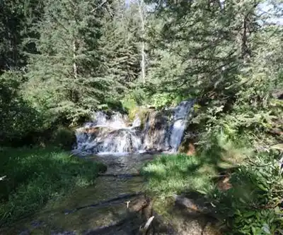Big Hill Springs Provincial Park hiking trail - natural landscape