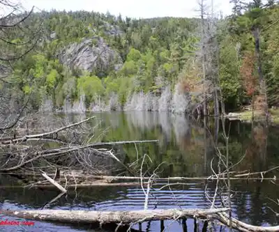 Sentier de randonnée Roaring Brook Trail - paysage naturel