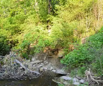 Deerfield Park hiking trail - natural landscape