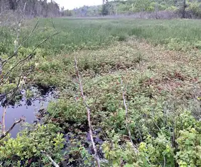 Sentier de randonnée Boot Head Preserve Trailhead - paysage naturel