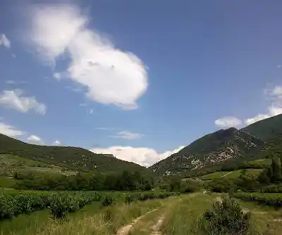 Sentier de randonnée Les Gorges du Toulourenc - paysage naturel