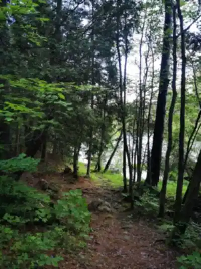 Explore Sentier Pédestre Grande Chute trail