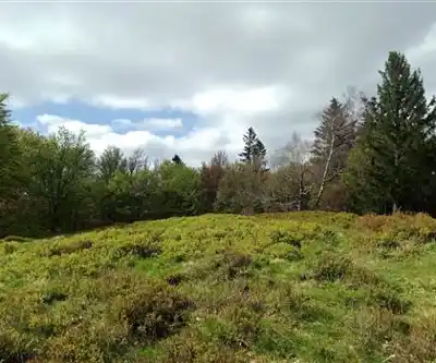 Lac d'Alfeld hiking trail - natural landscape