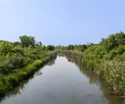 Sentier de randonnée McAulliffe Park - paysage naturel
