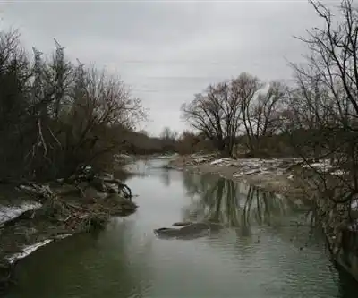Claireville Conservation Area hiking trail - natural landscape