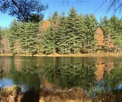 Sentier de randonnée Lake Wyola - paysage naturel