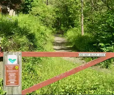 White Lake Natural Resource Area hiking trail - natural landscape
