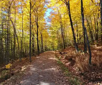 Balade en nature à Mont Pinacle - Parc Harold F. Baldwin