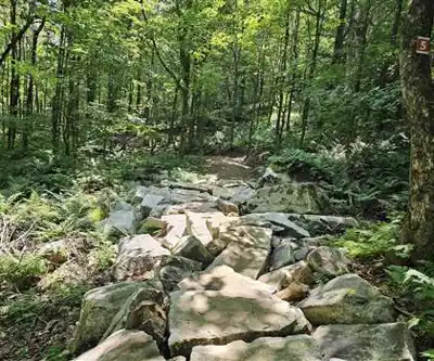 Sur les sentiers de Mont Pinacle - Parc Harold F. Baldwin