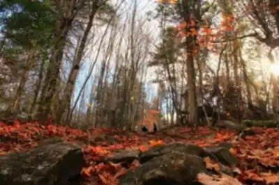 Explorer le sentier Mont Pinacle - Parc Harold F. Baldwin