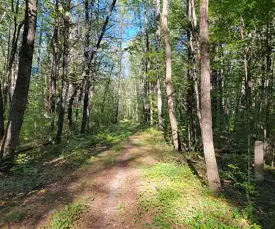 Sentier de randonnée Elm Brook Park - paysage naturel