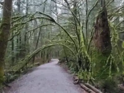 Gold Creek Falls Lower Falls hike - nature and outdoors