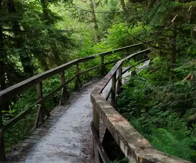 Sentier de randonnée Lynn Peak Trail - paysage naturel