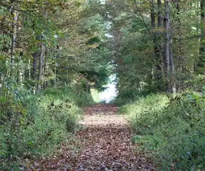 Sentier de randonnée Dorchester Park - paysage naturel