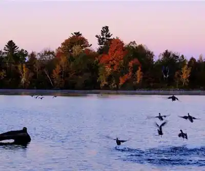 Sentier de randonnée Mooney's Bay Park and Beach - paysage naturel