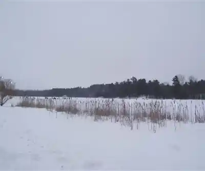 Discover Parc du Lac-Beauchamp in Outaouais
