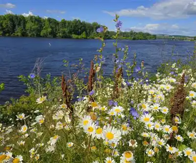 Parc du Lac-Beauchamp hiking trail - natural landscape