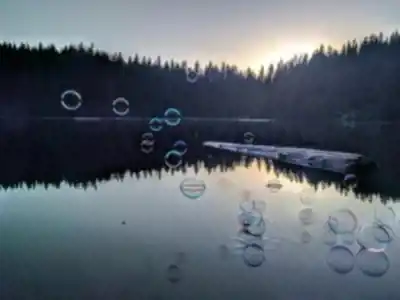 Cat Lake hike - nature and outdoors