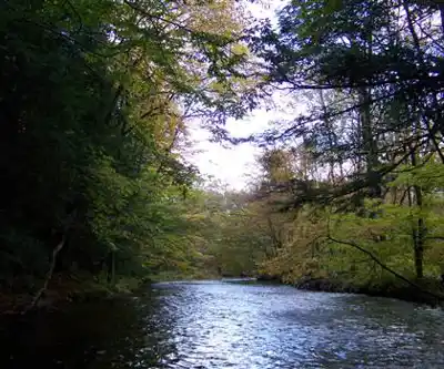 Salmon River Falls Unique Area hiking trail - natural landscape