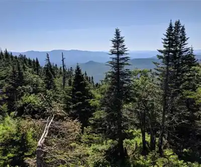 Stowe Scenic Auto Road hiking trail - natural landscape