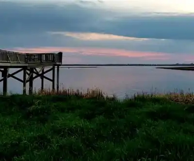 Riel Recreation Park hiking trail - natural landscape