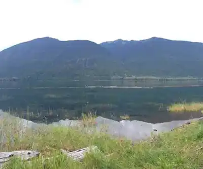 Sentier de randonnée Ross Lake Campground - paysage naturel
