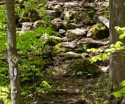 Sentier de randonnée Kerncliff Park - paysage naturel