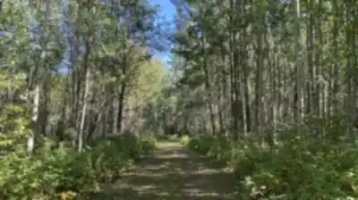 Découvrir Pigeon Lake Provincial Park & Campground en Alberta Central