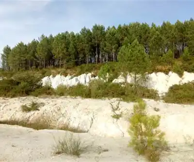 Landes et carrières de Guizengeard hiking trail - natural landscape