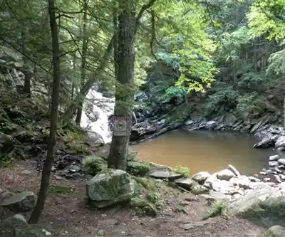 Wahconah Falls State Park hiking trail - natural landscape