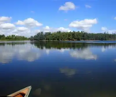 Island Lake Conservation Area hiking trail - natural landscape