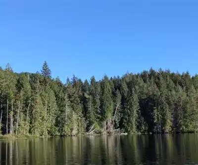 Sakinaw Lake hiking trail - natural landscape