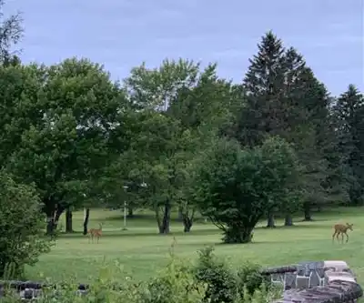 Randonnée Belvédère Du Camping Sainte-véronique - nature et plein air