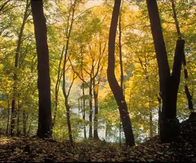 Blue Mountain Lakes hiking trail - natural landscape