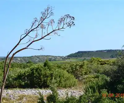 Parc naturel régional de la Narbonnaise en Méditerranée hiking trail - natural landscape