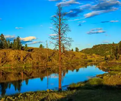 Six Mile Lake Provincial Park hiking trail - natural landscape