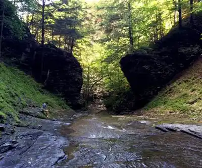 Waterfall on Lick Brook hiking trail - natural landscape