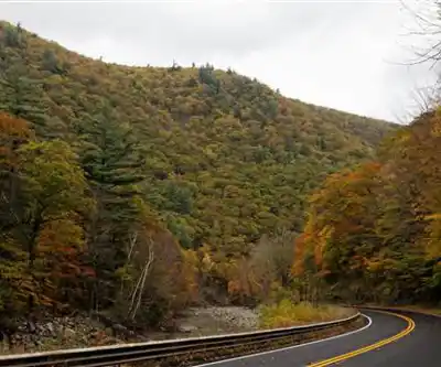 Mohawk Trail State Forest hiking trail - natural landscape