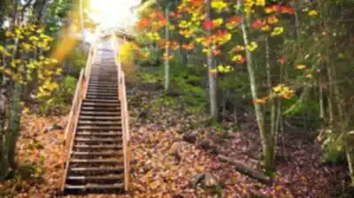 Découvrir La Montagne À Coton en Bas-Saint-Laurent