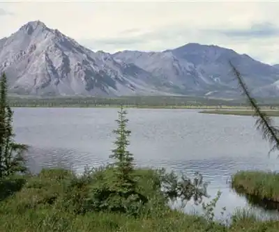 Sentier de randonnée Arctic Lake - paysage naturel