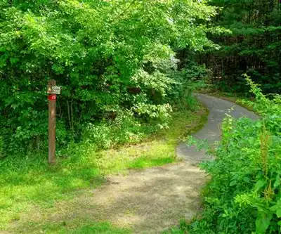Benson Park hiking trail - natural landscape