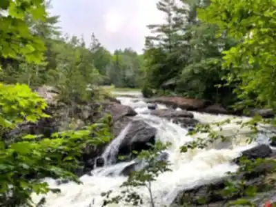 Discover Site Historique Des Chutes De Plaisance in Outaouais
